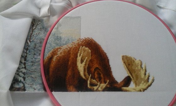 Этап процесса «встреча в лесу»