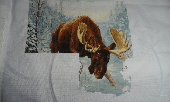 Этап процесса «встреча в лесу»