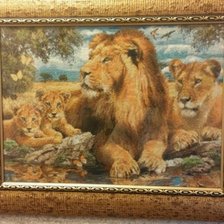 Процесс «Семейство львов (львиное семейство на отдыхе)»