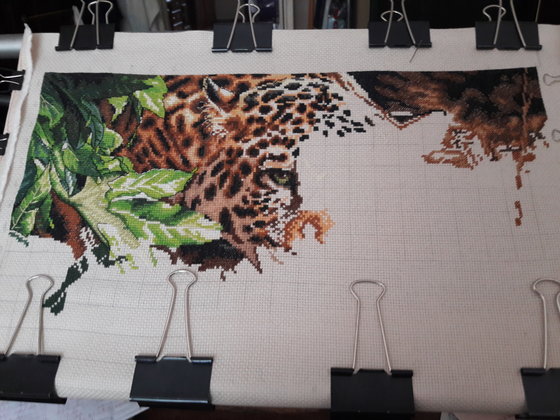 Этап процесса «"Leopard in repose " Dimensions»