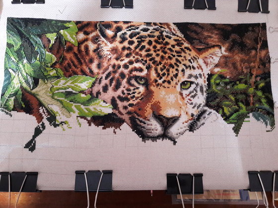 Этап процесса «"Leopard in repose " Dimensions»