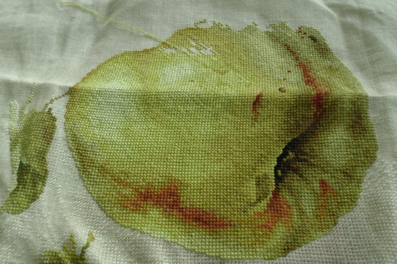 Этап процесса «Айва по схеме Е.Волковой»