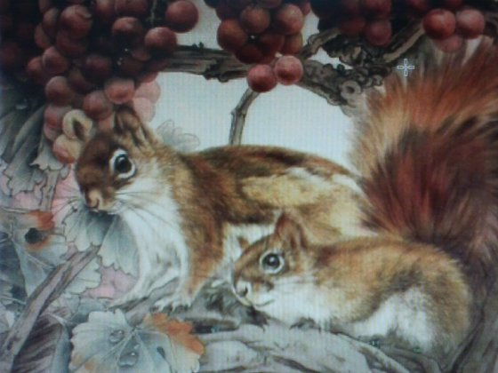 Этап процесса «Белочки»