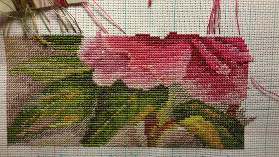 Этап процесса «Пионы от фирмы Алиса»