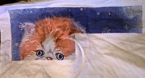 Этап процесса «Пушистик»