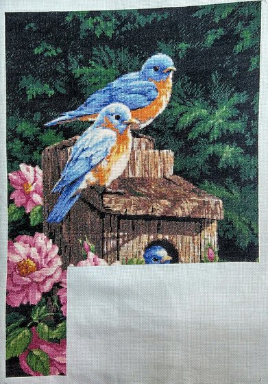 Этап процесса «Мои любимые птички»