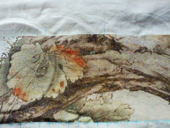 Этап процесса «Белочки»