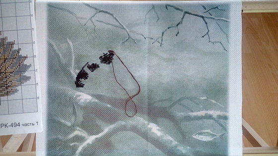 Этап процесса «Судак от МП Студия»