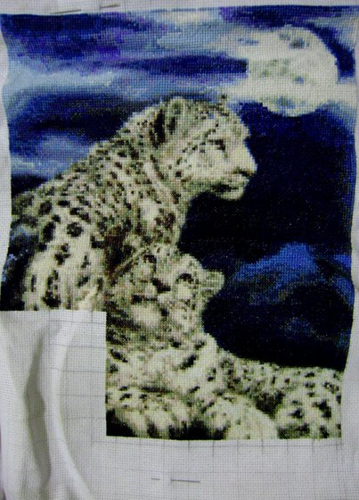 Этап процесса «"Снежные барсы" от "Белоснежки"»