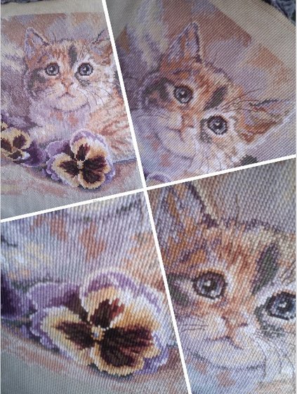 Этап процесса «Софочка»