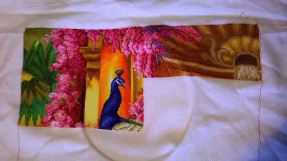 Этап процесса «Роскошные павлины»