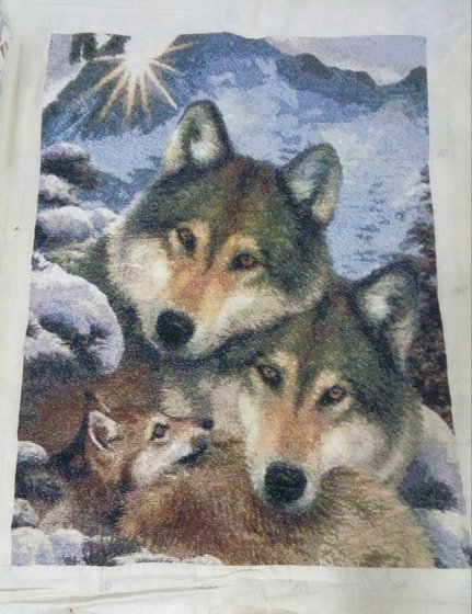 Этап процесса «Семья Волков»