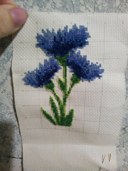 Этап процесса «Василек готов»