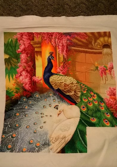 Этап процесса «Роскошные павлины»