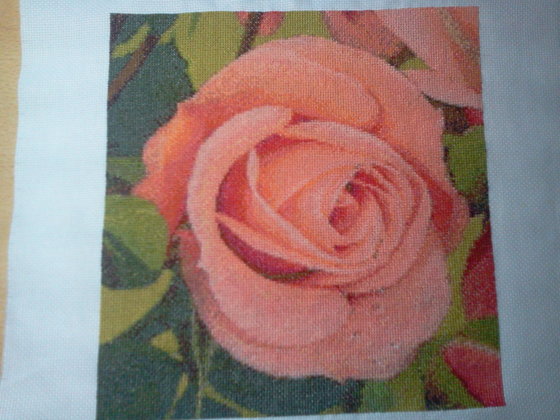 Этап процесса «ГК 450 Розовая роза»