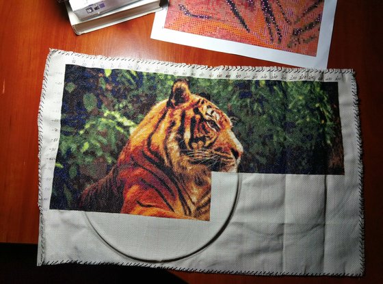 Этап процесса «Amur tiger»