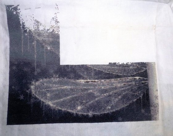 Этап процесса «HAED, 'Snow' (Maxine Gadd)»