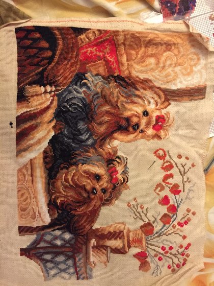 Этап процесса «два йоркширских терьера»