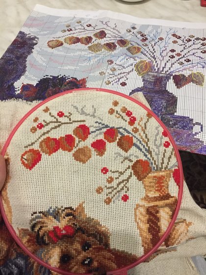 Этап процесса «два йоркширских терьера»