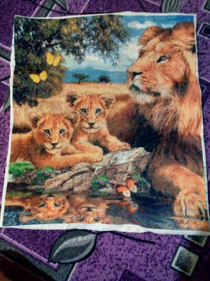 Этап процесса «Семья львов»