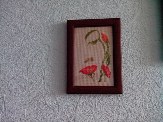 Этап процесса «Девушка-флора»