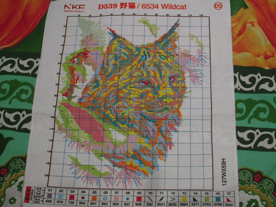 Этап процесса «Рождественская кошка»