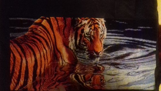 Этап процесса «тигр в воде»