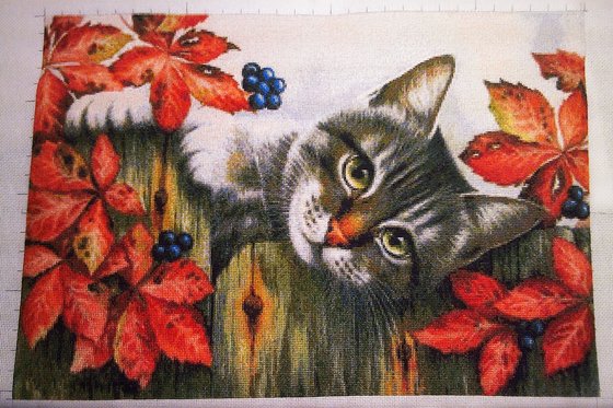 Этап процесса «Кузя»