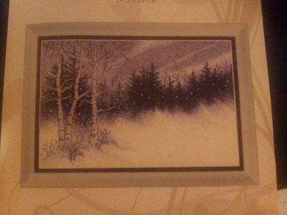 Этап процесса «Зимняя ночь»