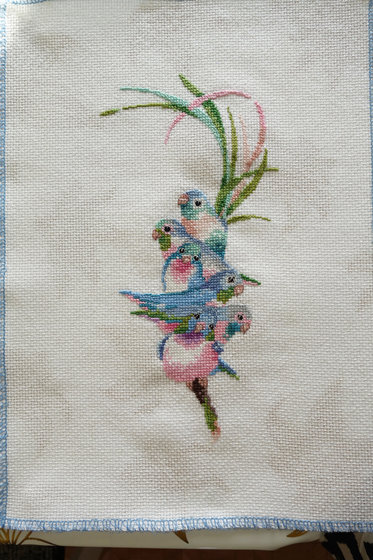 Этап процесса «Птички»