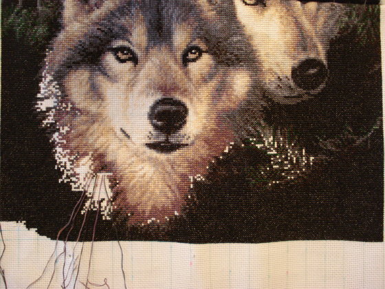 Этап процесса «пара волков»