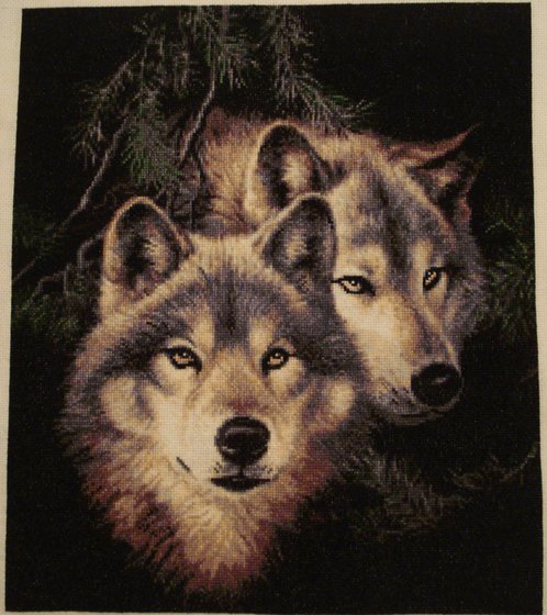 Этап процесса «пара волков»