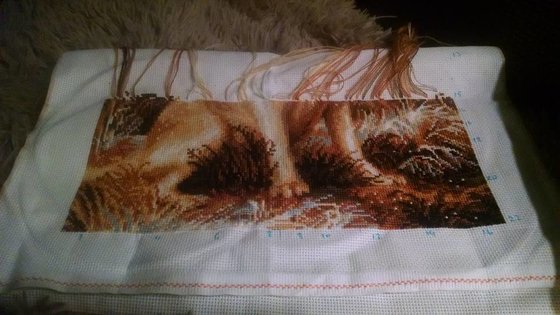 Этап процесса «"Лабрадор" Ріоліс»