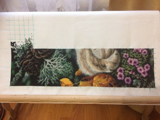 Этап процесса «ДИКИЙ УГОЛОК»