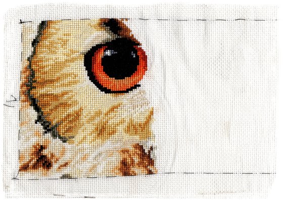 Этап процесса «Совиный взгляд.»