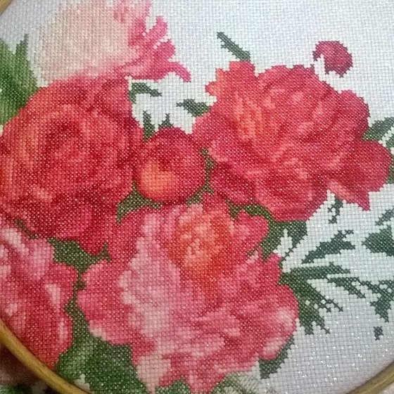 Этап процесса «начало лета»