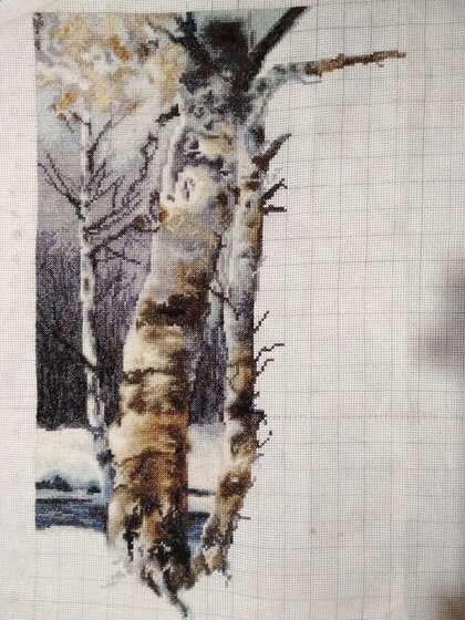 Этап процесса «Зимний день»