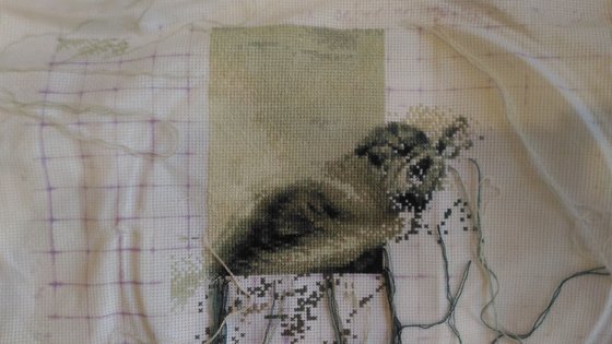 Этап процесса «Пробуждение силы от Химеры»