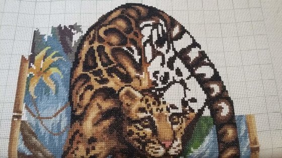 Этап процесса «Дымчатый леопард»