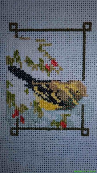 Этап процесса «Пинкипы « птички»»