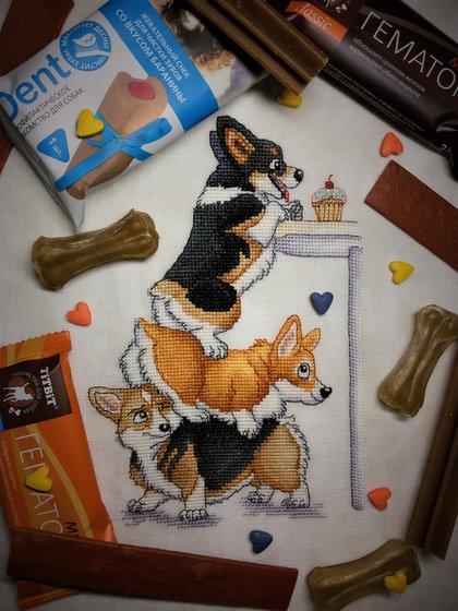 Этап процесса «Корги веселые и находчивые (КВН). Часть 1.»