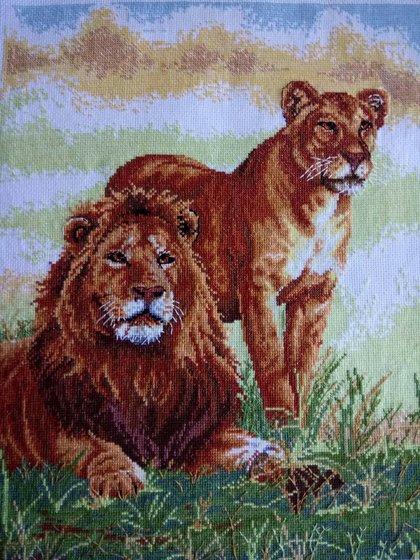 Этап процесса «Leo»