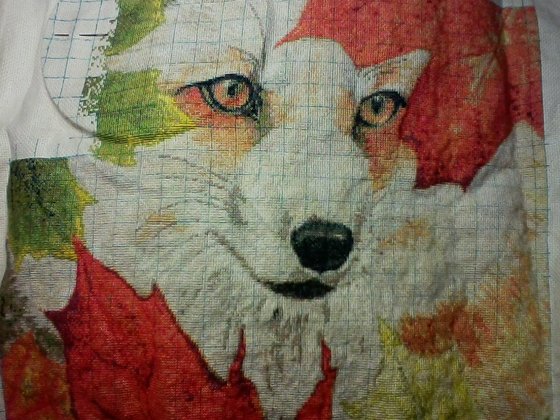 Этап процесса «Лисичка»