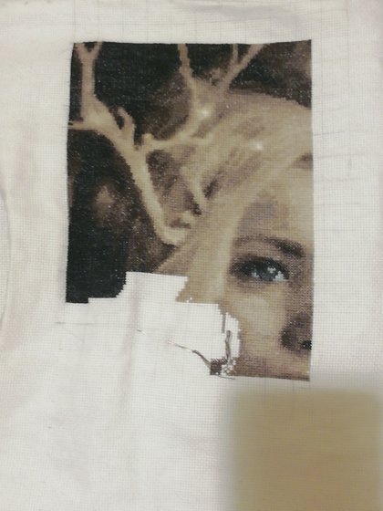 Этап процесса «Волчица»