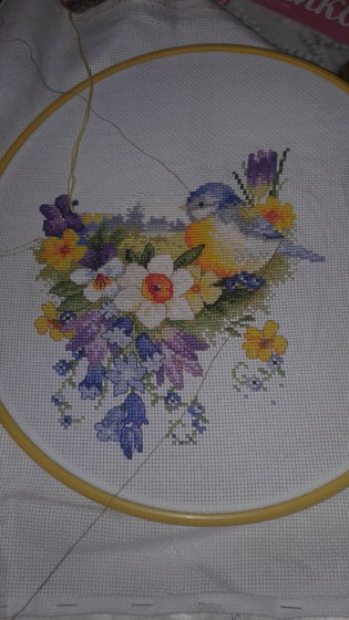 Этап процесса «ПТИЧКА - СИНИЧКА»