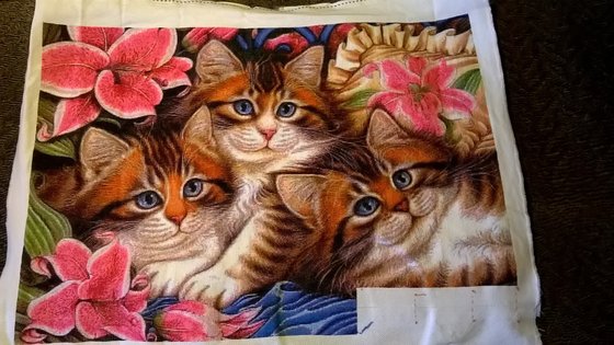 Этап процесса «Три пушистых котёнка»