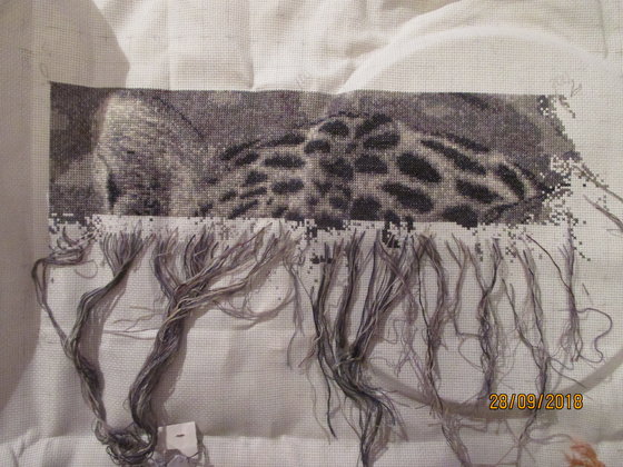 Этап процесса «леопард»