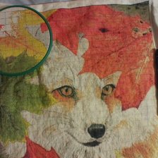 Процесс «Лисичка»