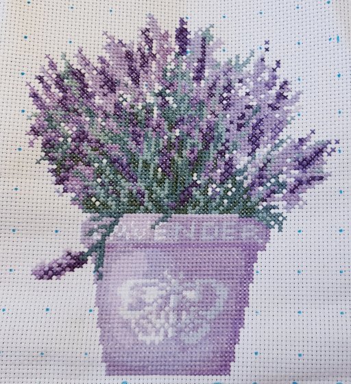 Этап процесса «Lavender plants»