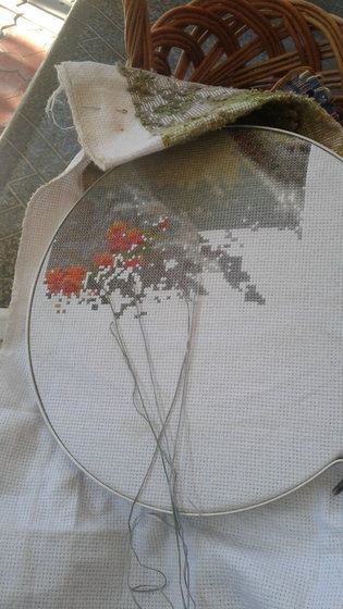 Этап процесса «Прыгающие карпы»